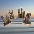Driftwood Family